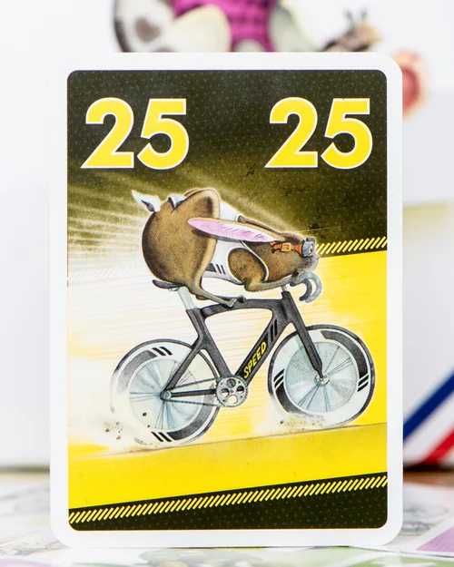 Test du jeu VELONIMO vue cartes 4